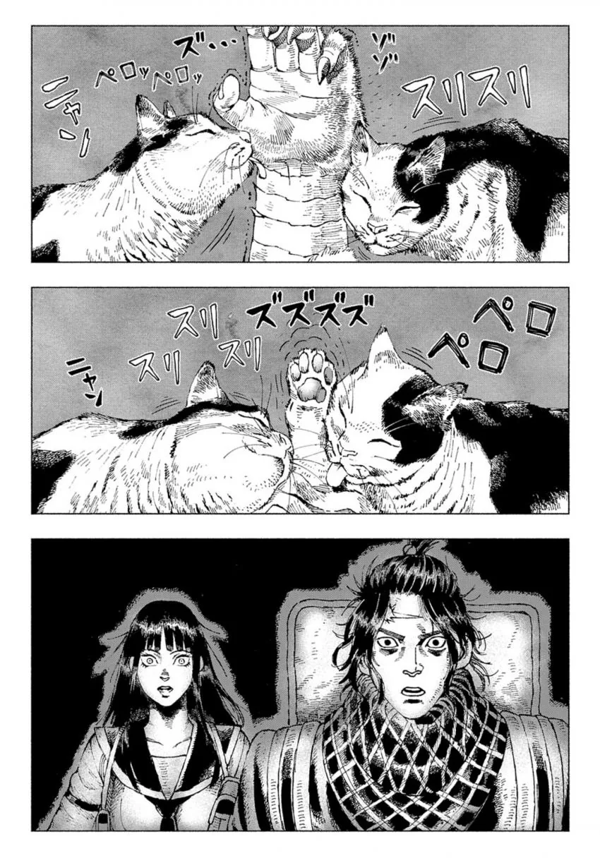 캣포칼립스 만화 - 이미지 5