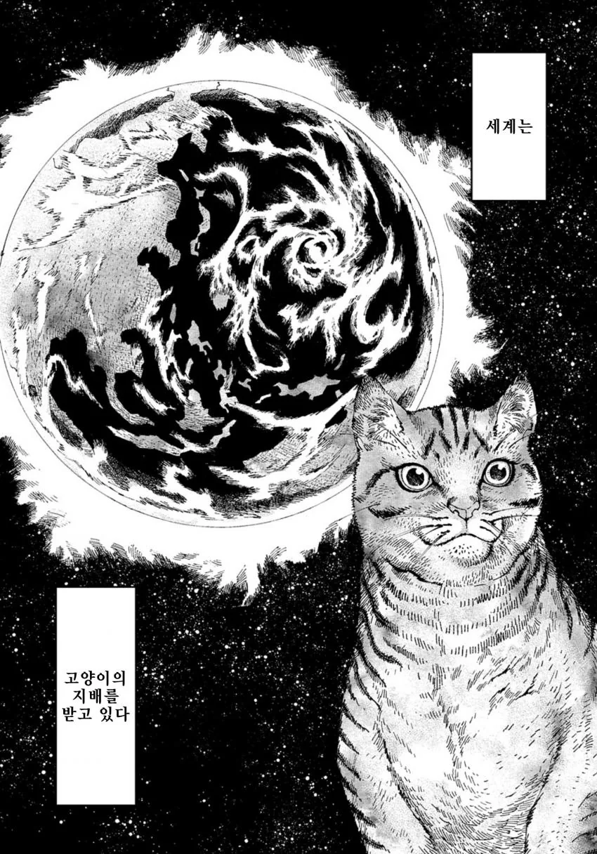 캣포칼립스 만화 - 이미지 7