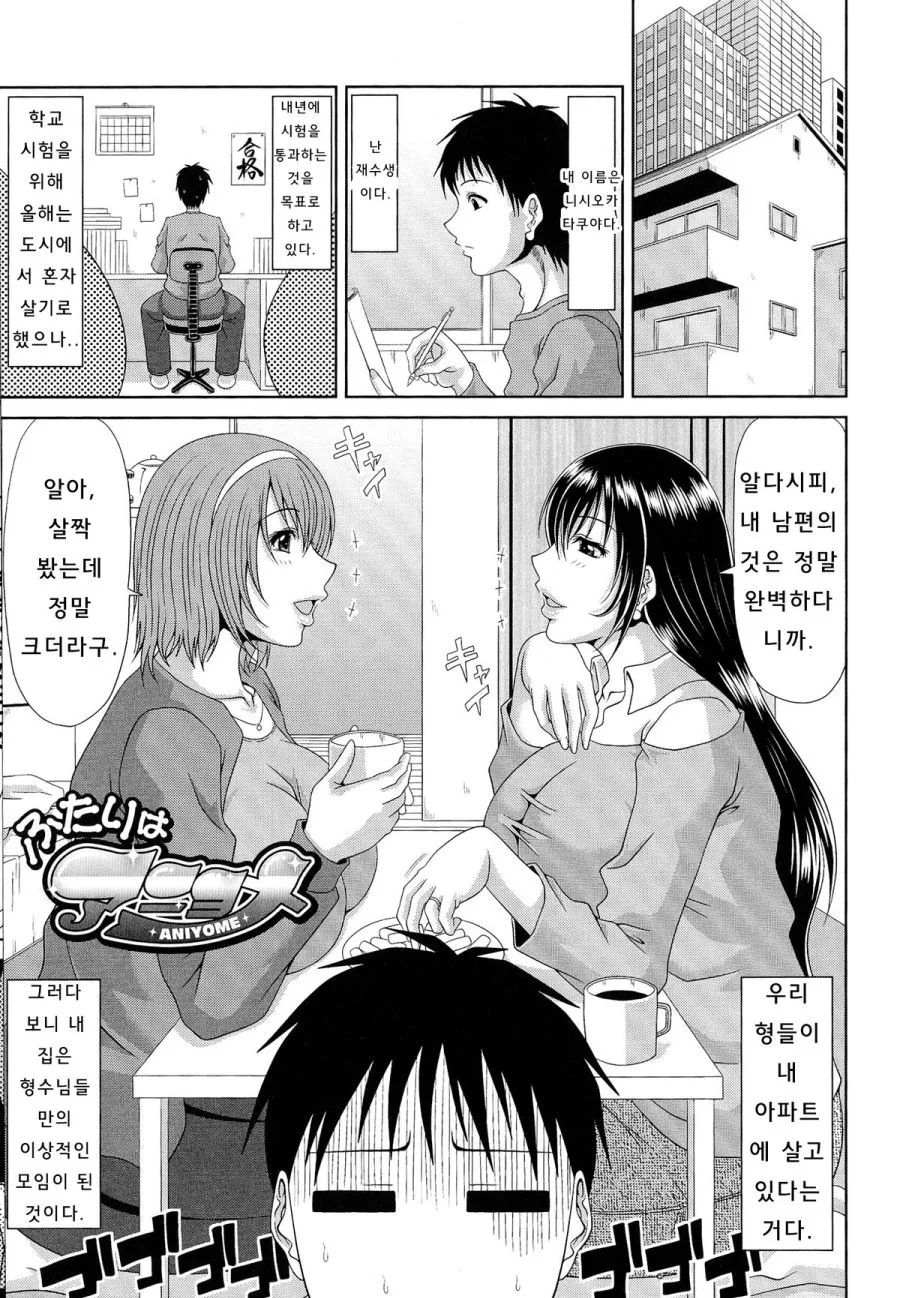 형수들이 놀러오는 만화