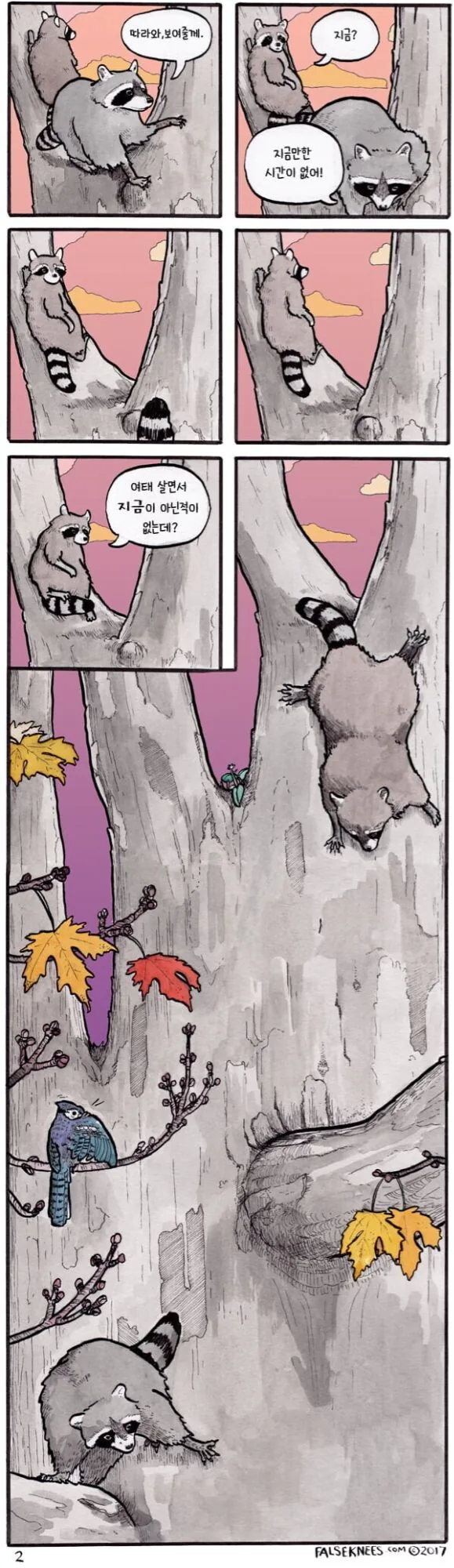 철학적인 라쿤과 실행력이 강한 라쿤.manga - 이미지 2
