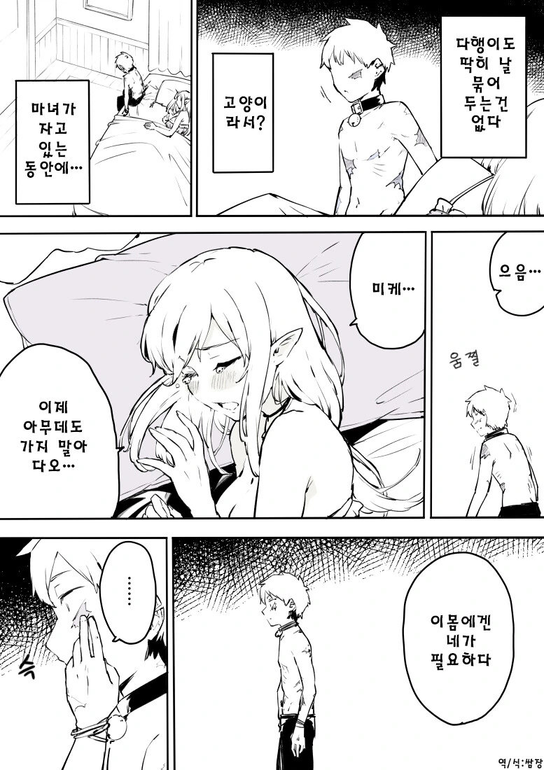 마녀에게 팔려가 인간 고양이가 되는 만화 - 이미지 5
