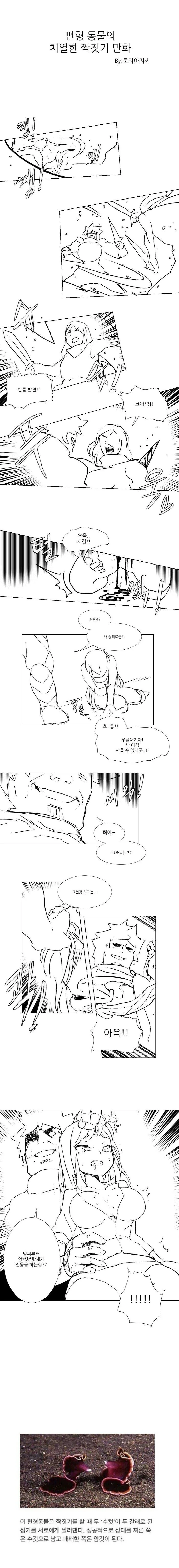 칼싸움의 결과 만화