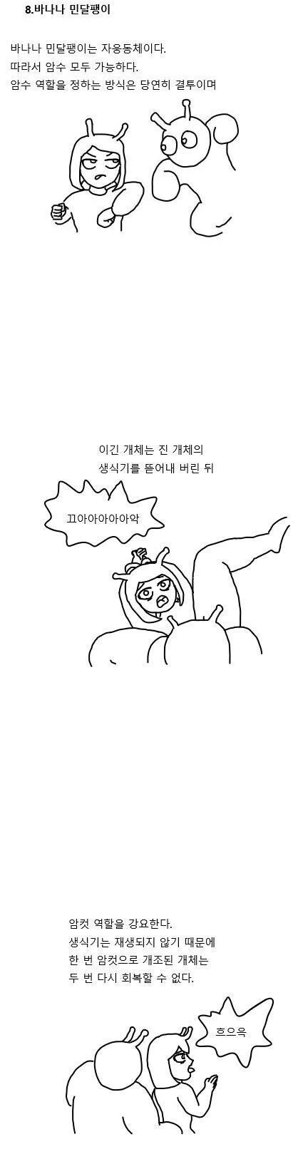 칼싸움의 결과 만화 - 이미지 2