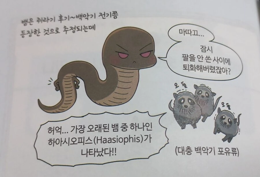 수상하게 밈이 많은 학습.manwha