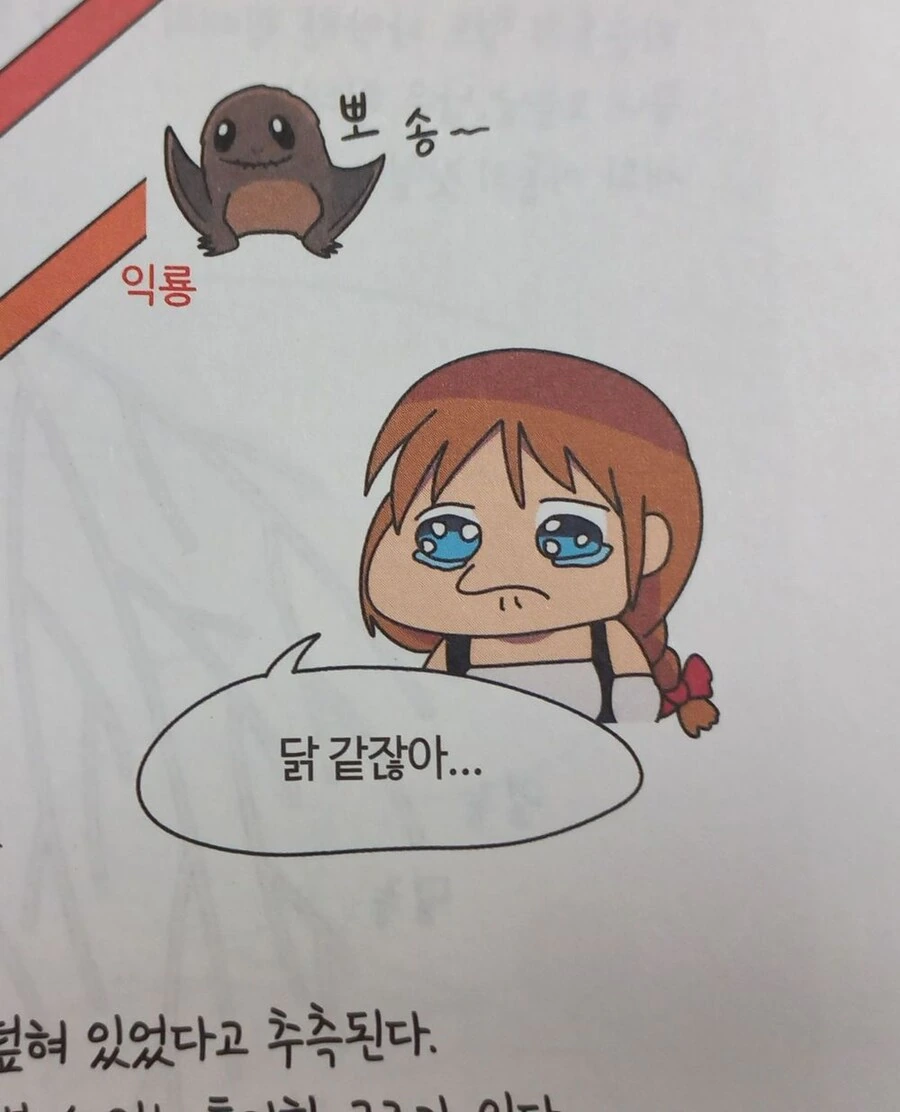 수상하게 밈이 많은 학습.manwha - 이미지 3