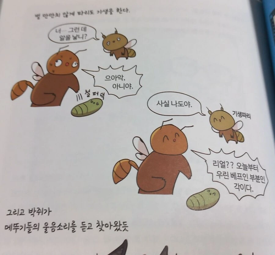 수상하게 밈이 많은 학습.manwha - 이미지 4