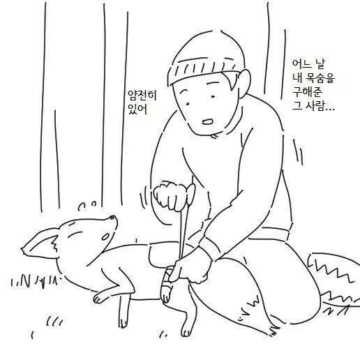 여우와 결혼하는 만화