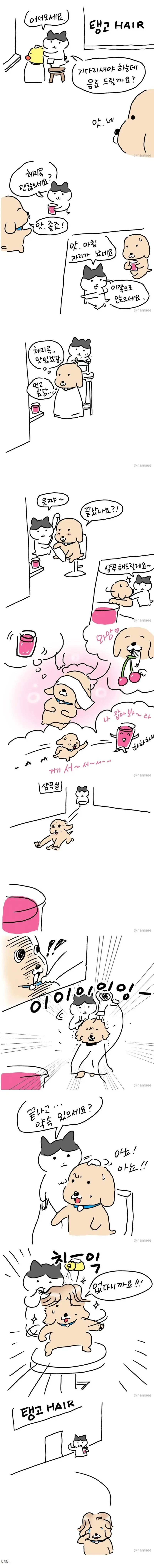 체리콕 못마시는 .manwha