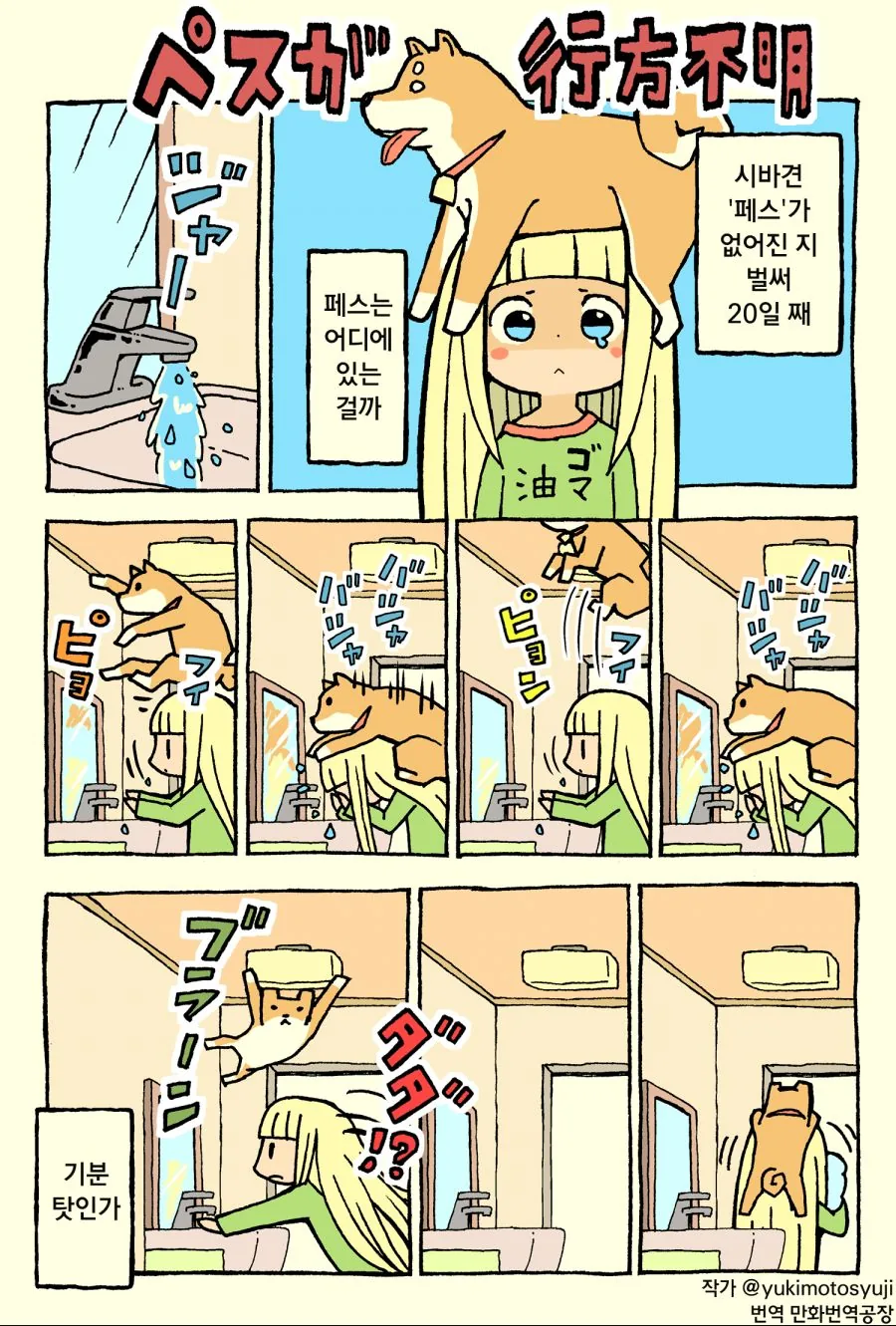 키우던 댕댕이가 사라진 만화