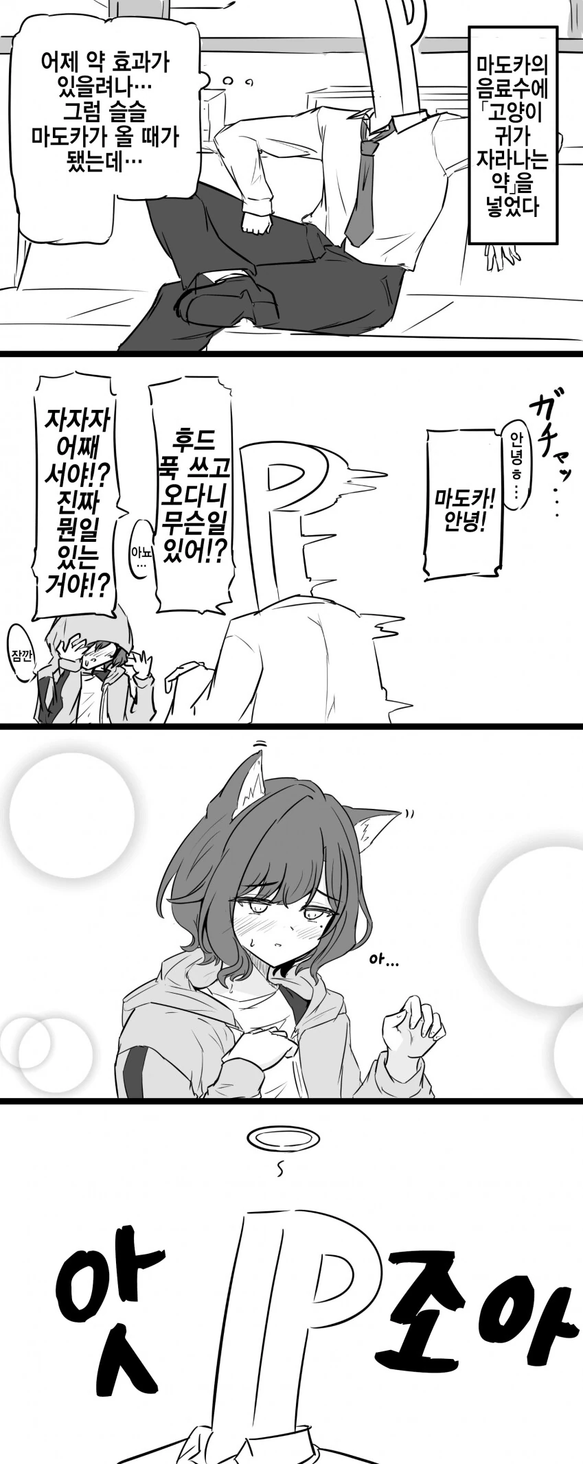 @) 샤니.마도카냥