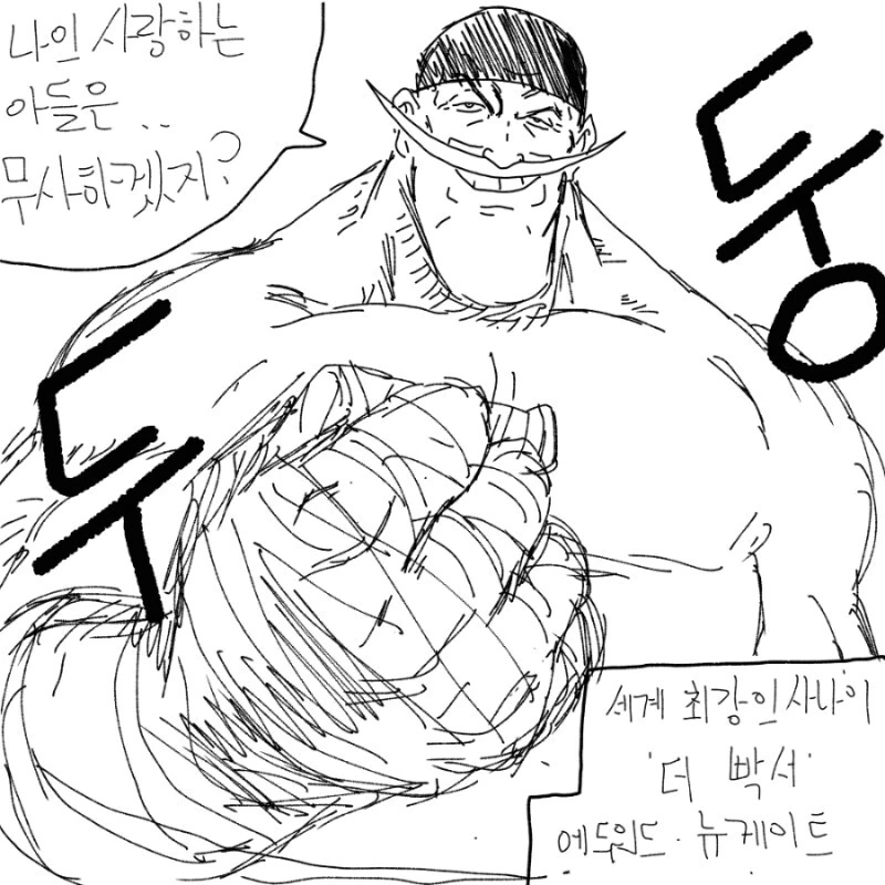 원피스) 복싱을 배운 흰수염.manhwa