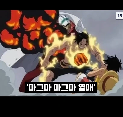 원피스)갈수록 평가가 떨어지는 자연계 능력.manga - 이미지 2