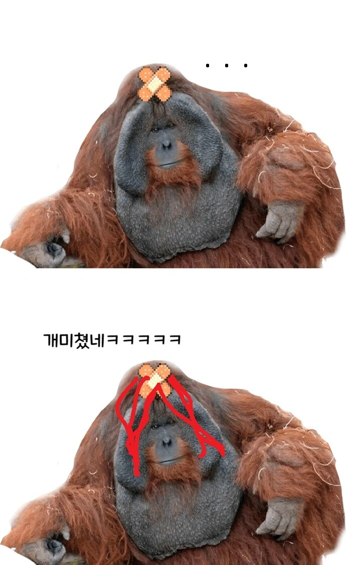 라오) 신캐랑 스킨 나오는 만화 - 이미지 2