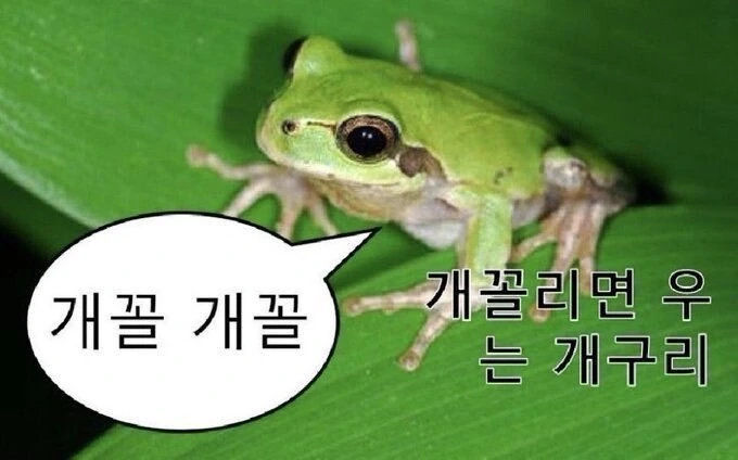 걸즈판처) 끌잘알 전차도 협회장과 꼴알못 키미타치 - 이미지 2