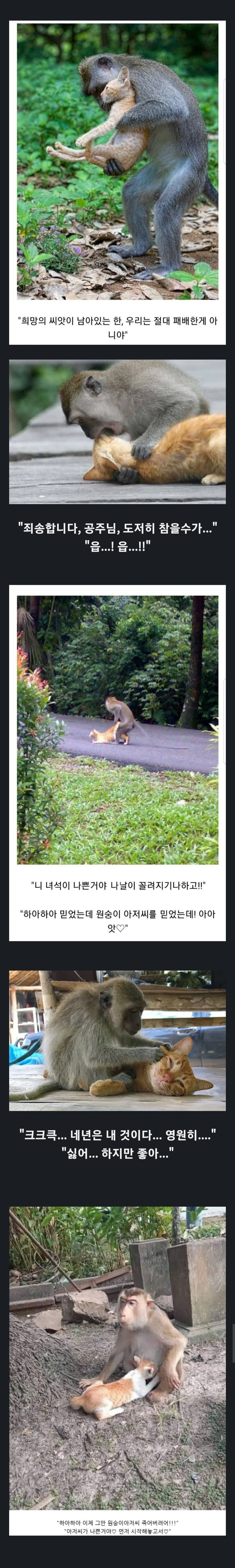 진부하지만 끌리는 망가 클리셰.jpg