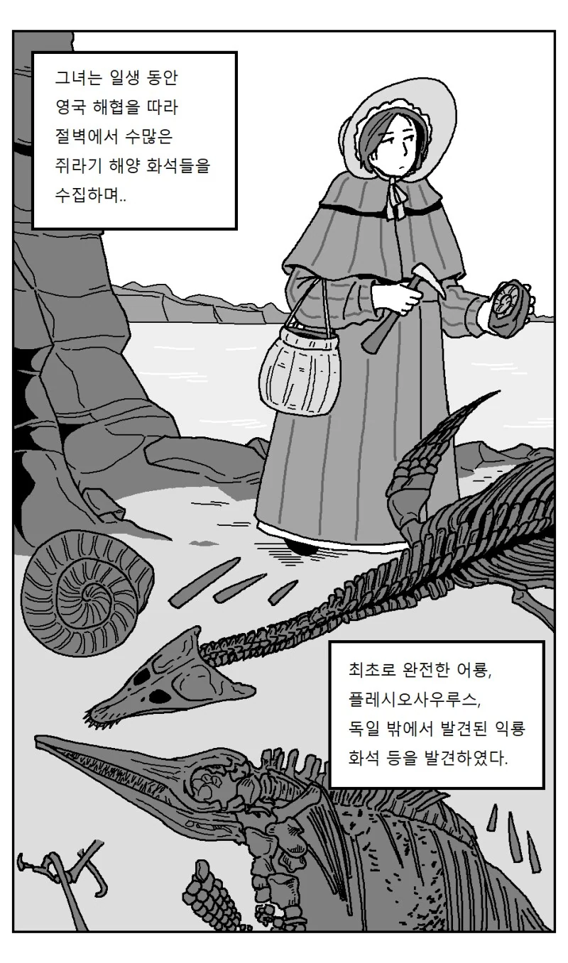 매리 애닝 여중생 환생 만화 - 이미지 2