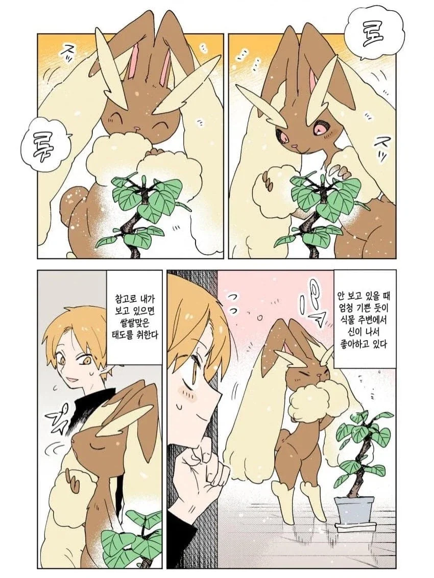 포켓몬과 보내는 일상 Manhwa - 이미지 15