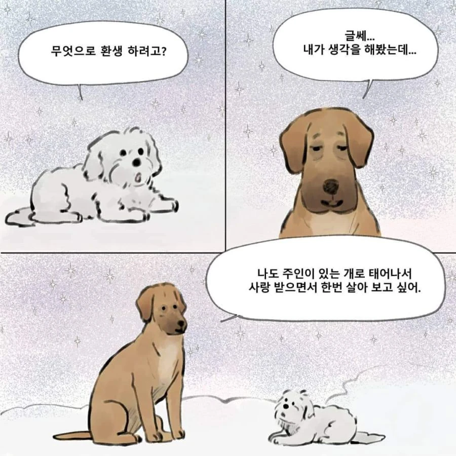 강아지 별 만화 - 이미지 2