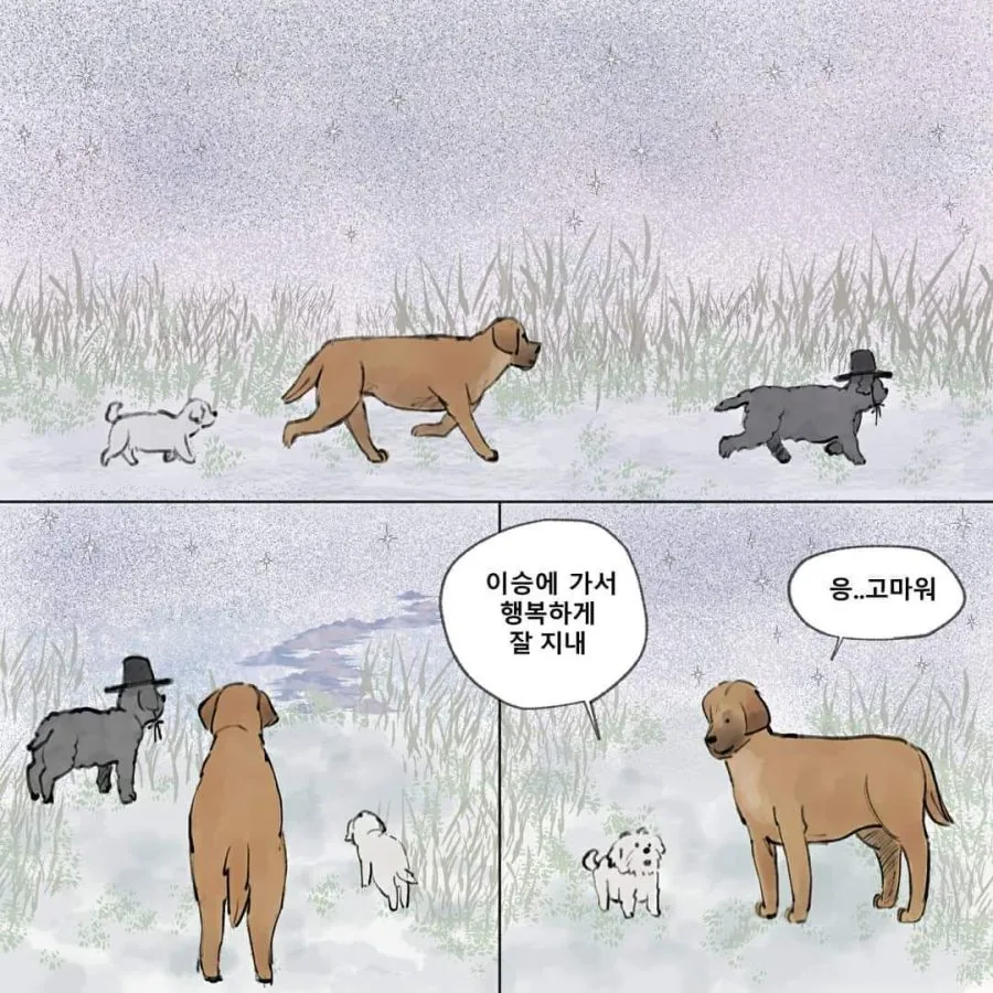 강아지 별 만화 - 이미지 6