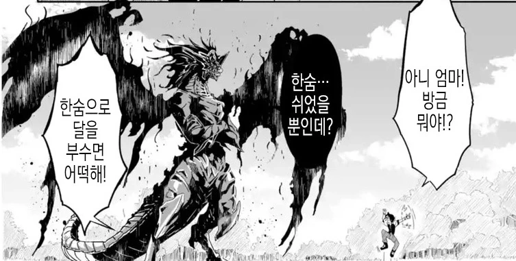 엄마는 드래곤
