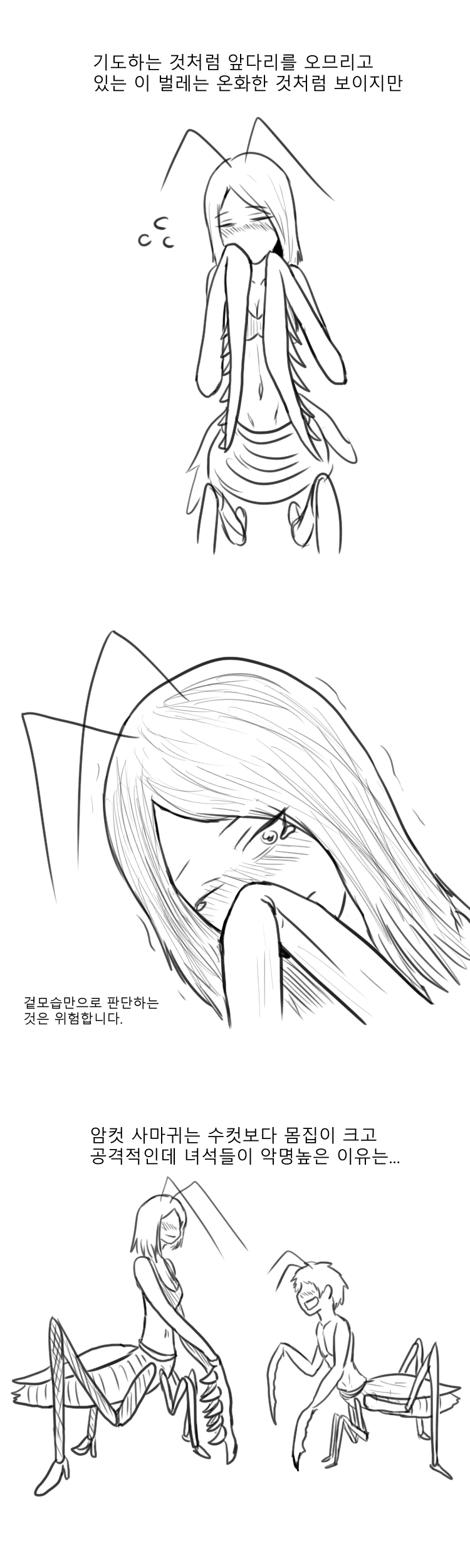 사마귀 만화