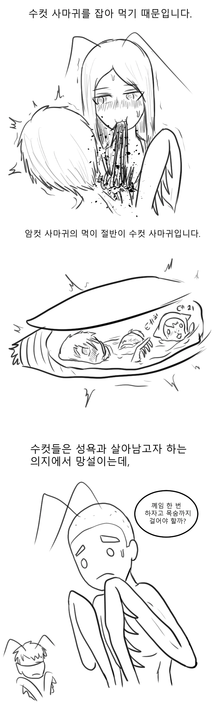 사마귀 만화 - 이미지 2