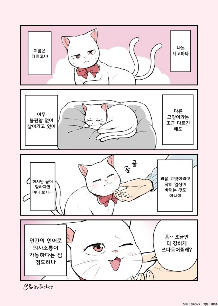 수상한 네코마타 만화.
