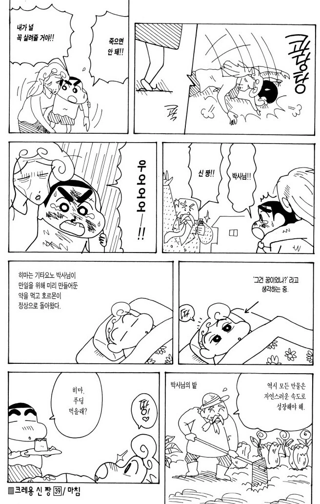 짱구) 할머니가 된 짱아 - 이미지 4