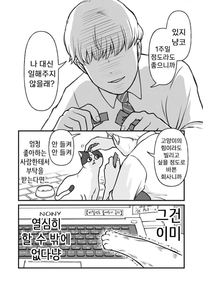 고양이가 대신 일해주는.manhwa