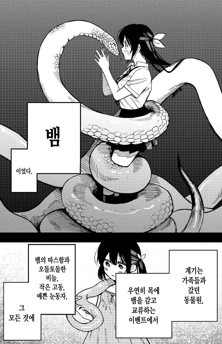 뱀의 ㄱㅁ시간은 보통 4 ~ 8시간이며 아나콘다는 4주에 육박한다고 한다 - 이미지 2