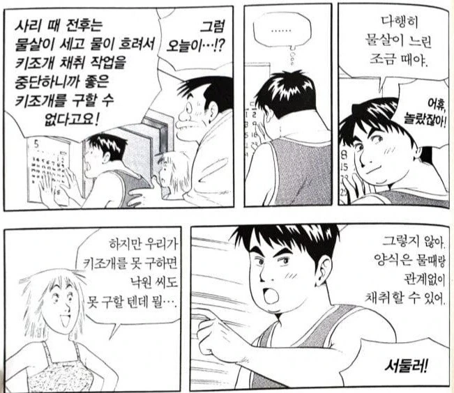 식객) 요리 만화에선 드문 양식산의 재료의 품질 - 이미지 4
