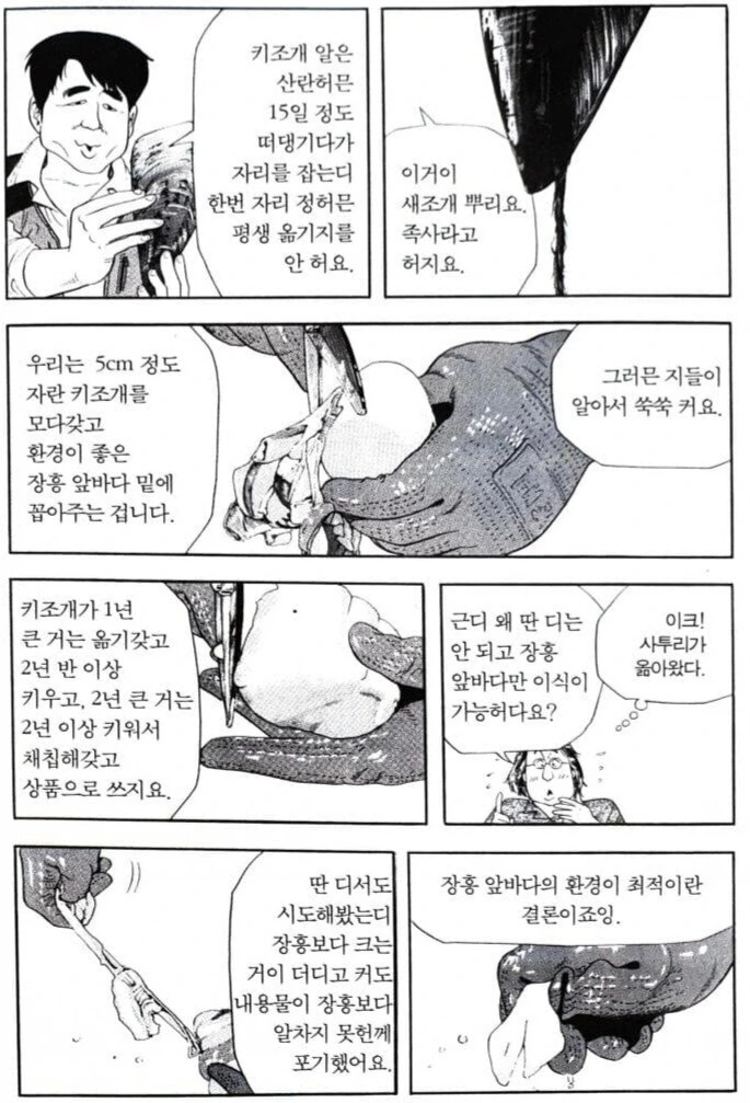 식객) 요리 만화에선 드문 양식산의 재료의 품질 - 이미지 10