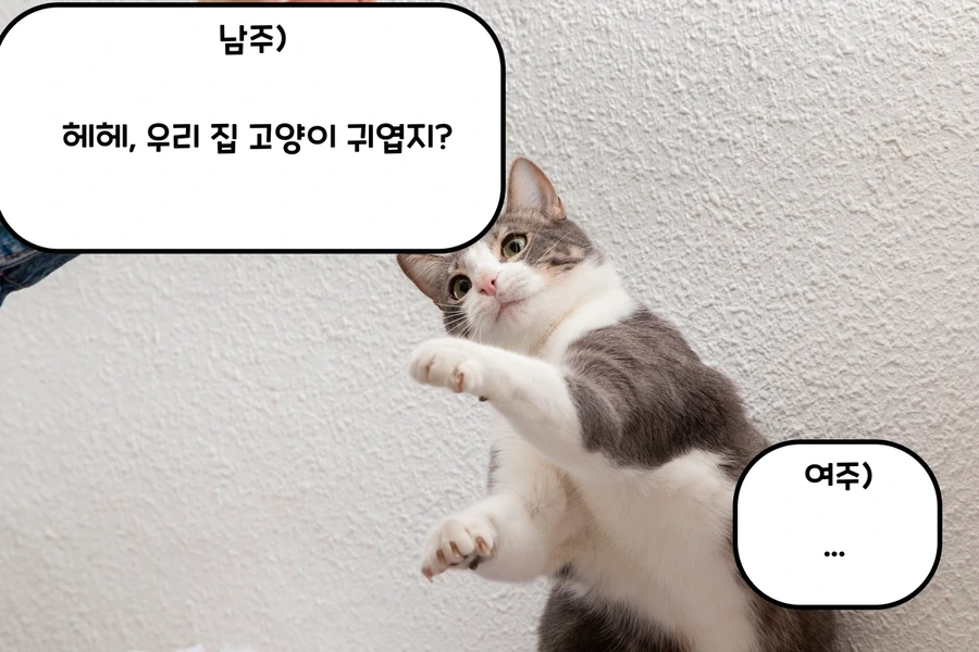 고양이 보러가는 만화 - 이미지 2