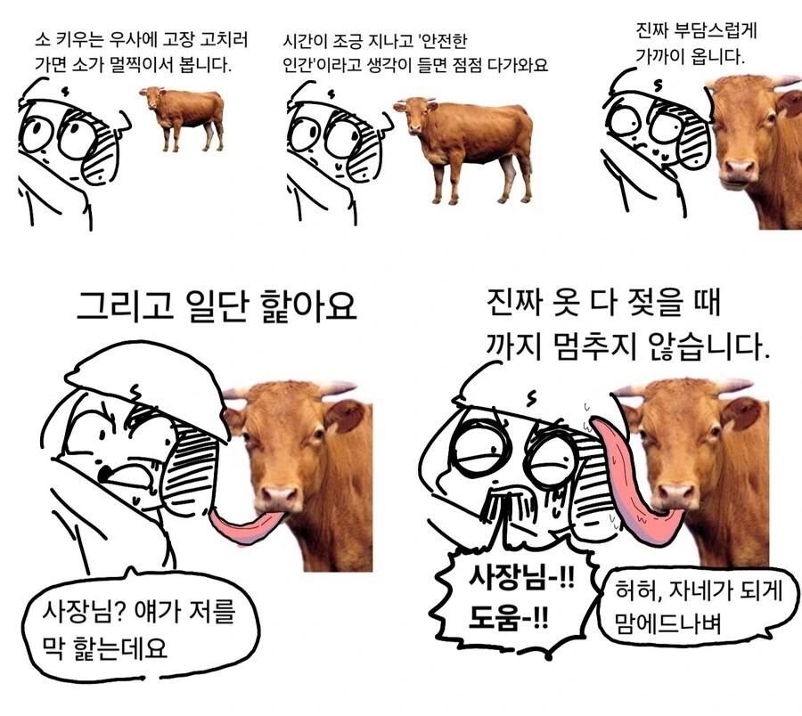 소 키우는 우사에 고장 고치러 가면 .manwha