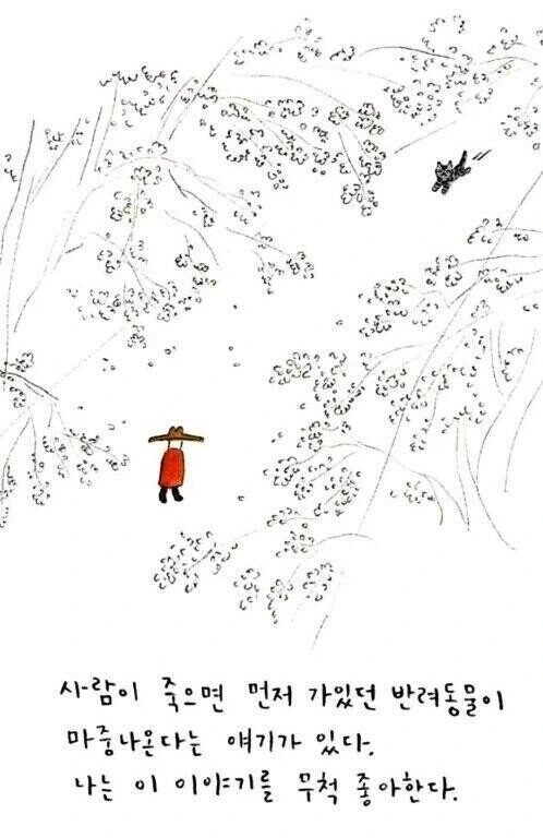 사후에 반려동물 만나는 만화
