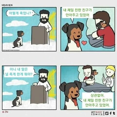사후에 반려동물 만나는 만화 - 이미지 3