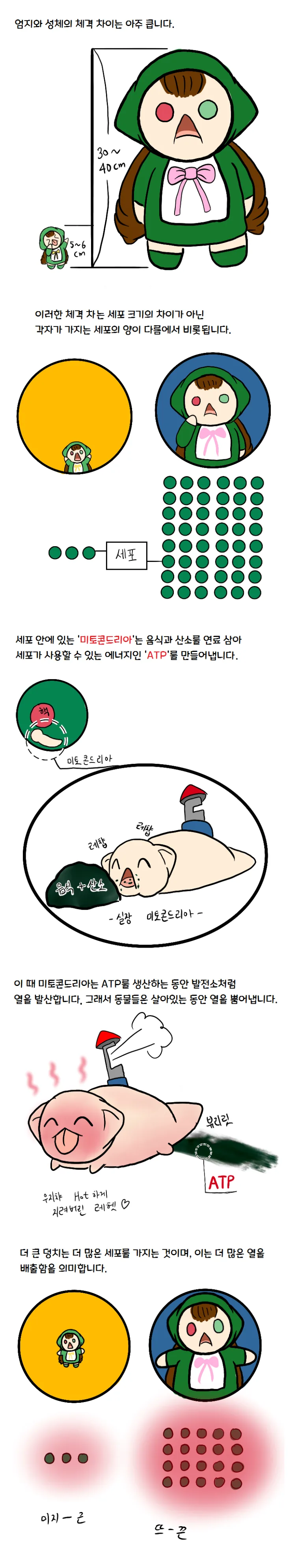 논리적인 참피 만화