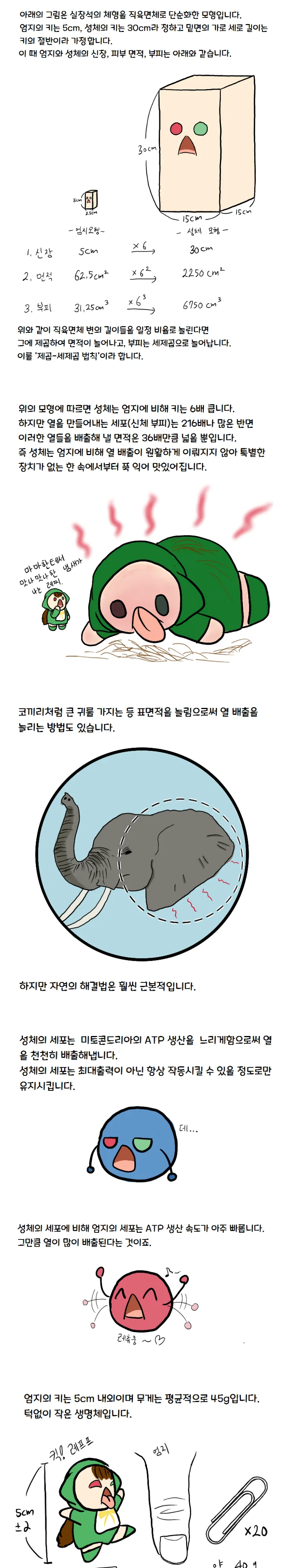 논리적인 참피 만화 - 이미지 2