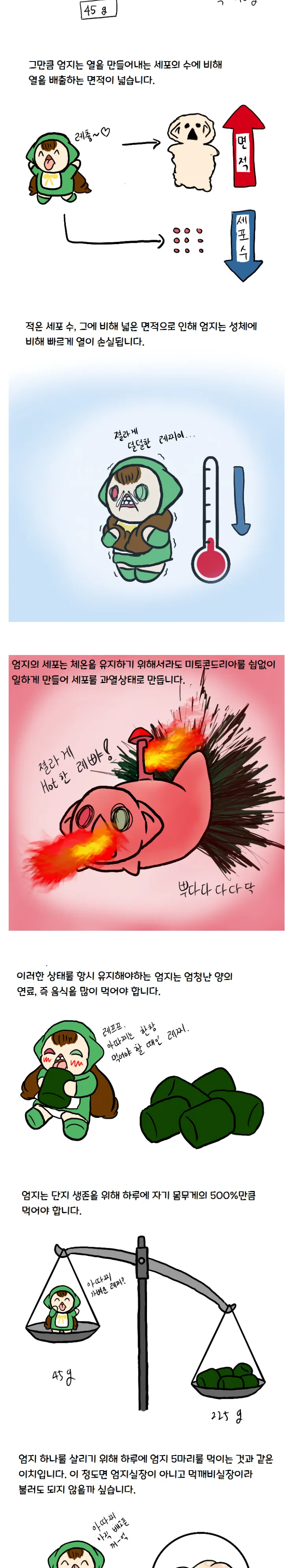 논리적인 참피 만화 - 이미지 3