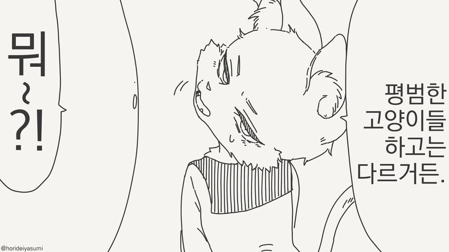고양이 팡팡 해주는 만화 - 이미지 2