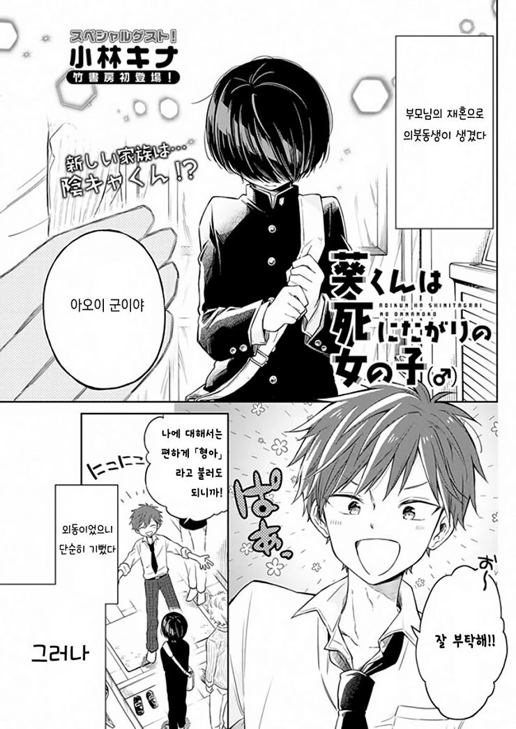 의붓동생이 생긴 만화