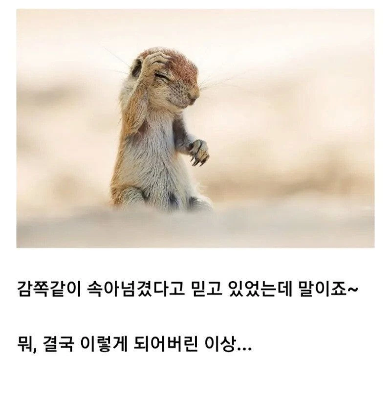 만화속 실눈캐 클리셰.jpg
