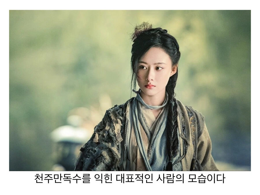 체내에 쌓인 독이 얼굴을 만화트리는 무공 -천주만독수- - 이미지 2