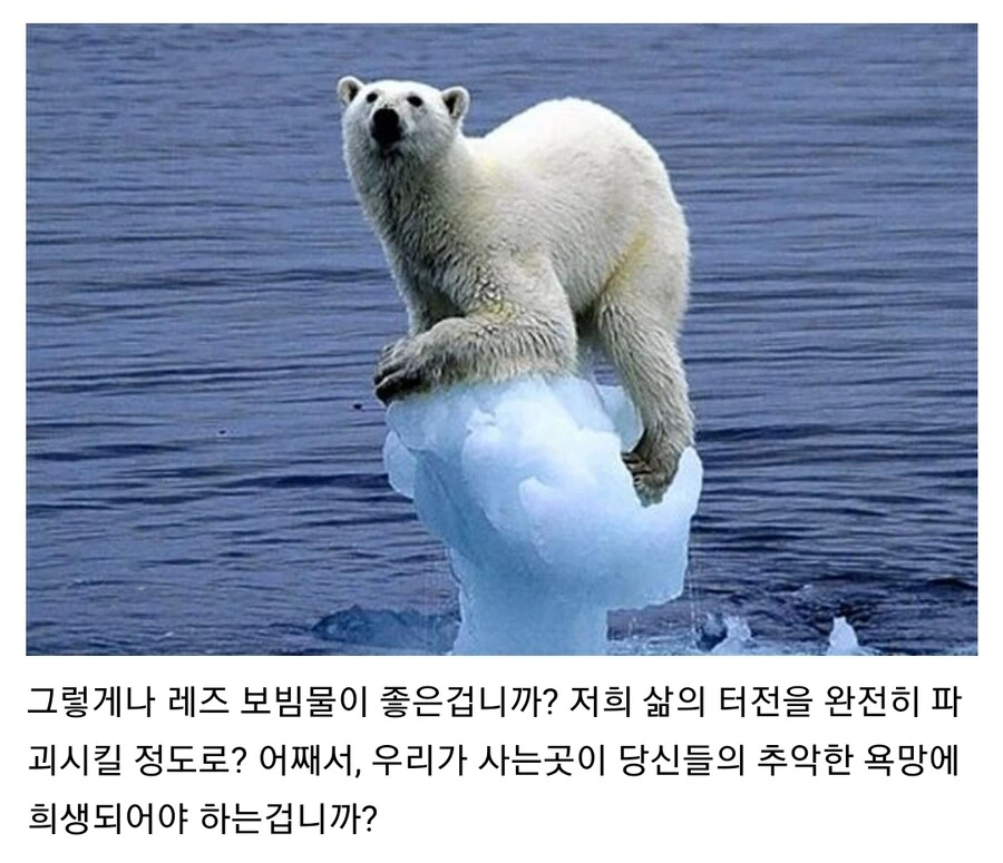 북극 얼음이 녹을 정도로 보비는.manhwa
