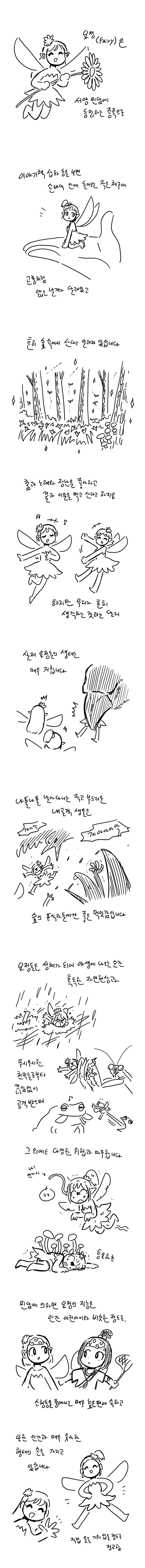 사람들이 잘모르는 요정들의 생태.manga