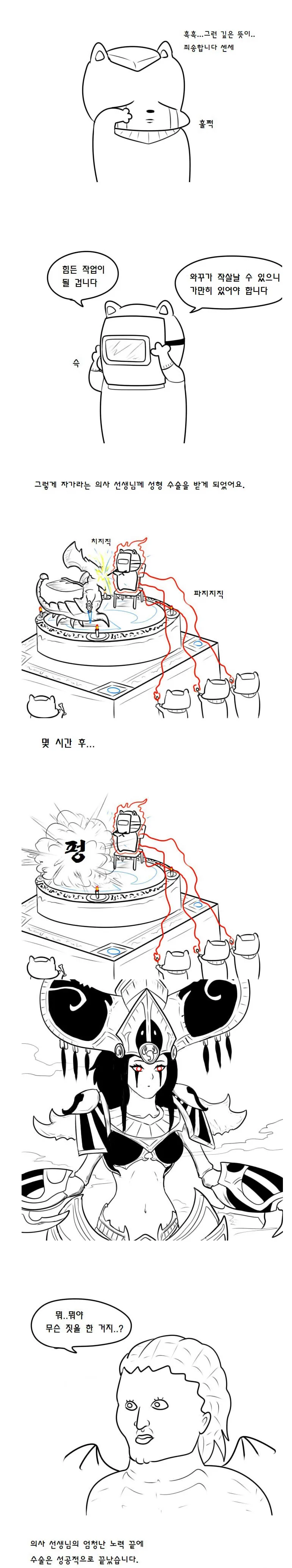 시공)자가라가 성형하는 만화.manwha - 이미지 2