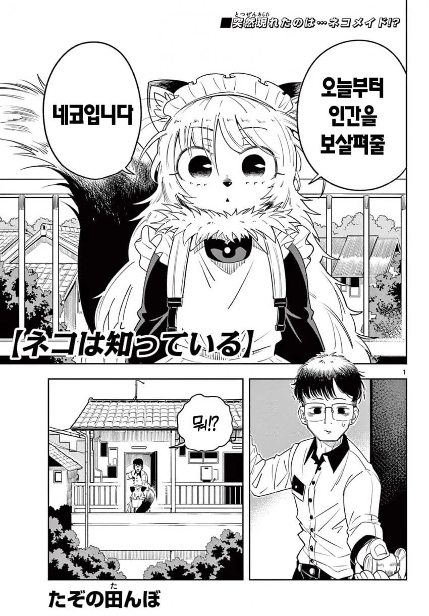 고양이 메이드가 찾아온.MANGA