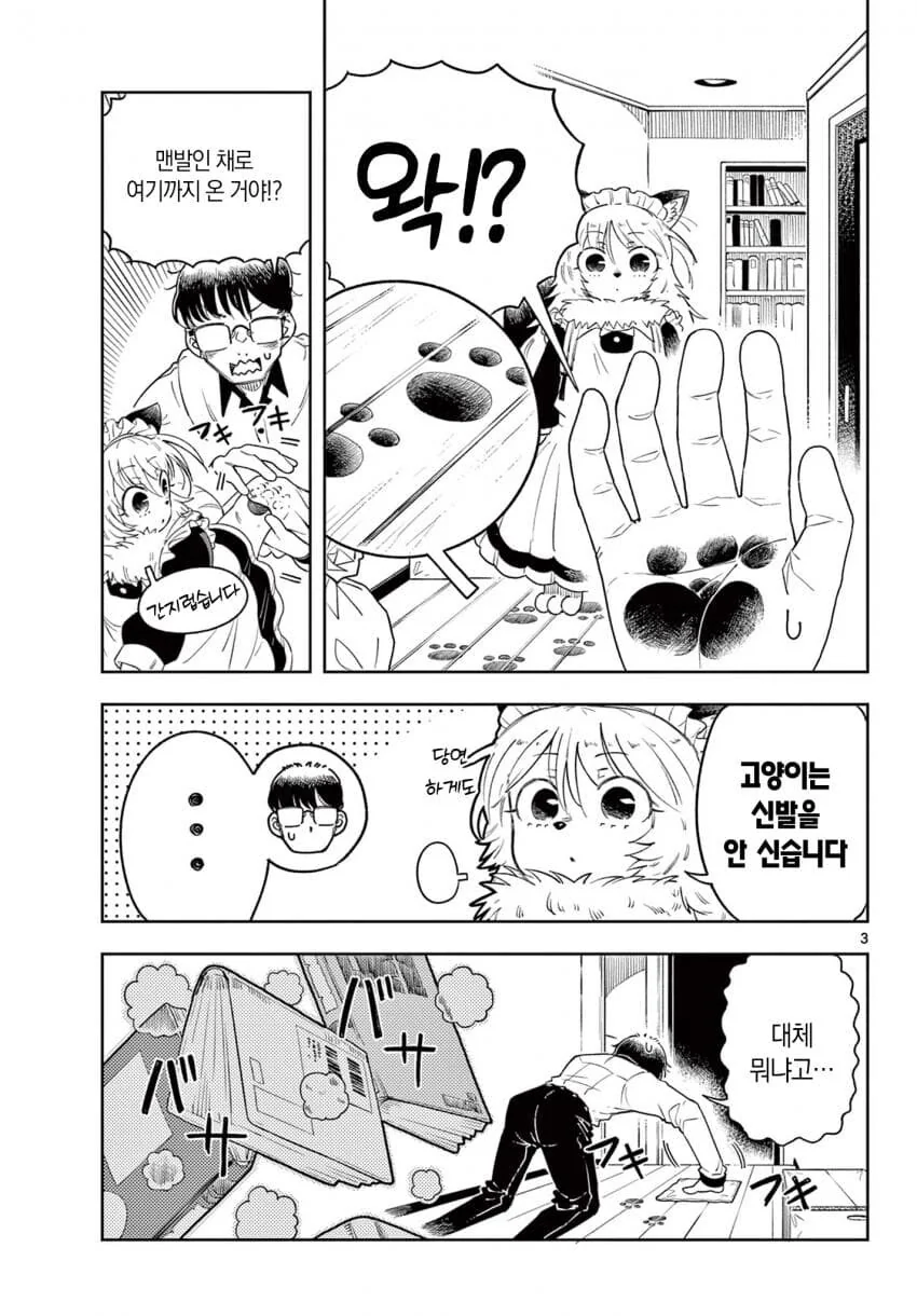 고양이 메이드가 찾아온.MANGA - 이미지 3
