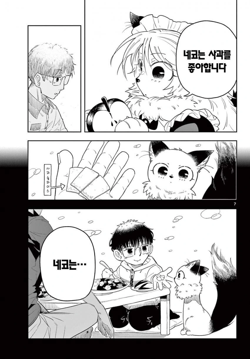 고양이 메이드가 찾아온.MANGA - 이미지 7
