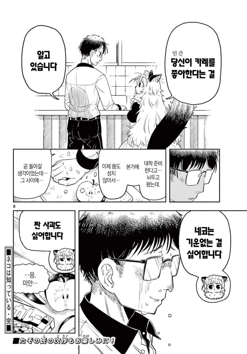 고양이 메이드가 찾아온.MANGA - 이미지 8